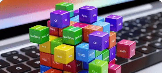 8 Best Web App Development Languages for High-Growth Apps